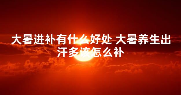 大暑进补有什么好处 大暑养生出汗多该怎么补